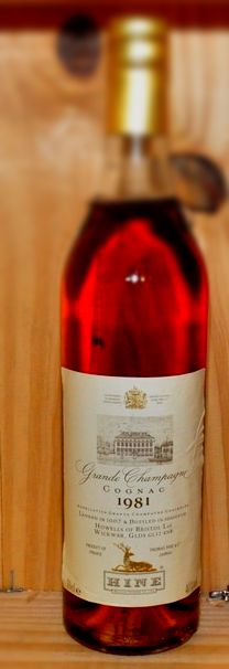Hine - Grand Champagne Cognac - 1981 70cl 40% - Vintage Spirits - Cog